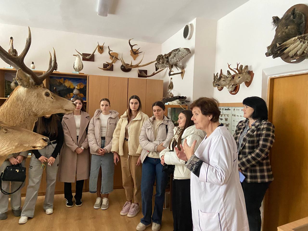 В зоологічному музеї факультету